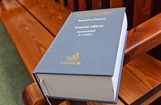 Pokus o vraždu bezdomovce. Soud potrestal náctileté, domlouvali se na síti