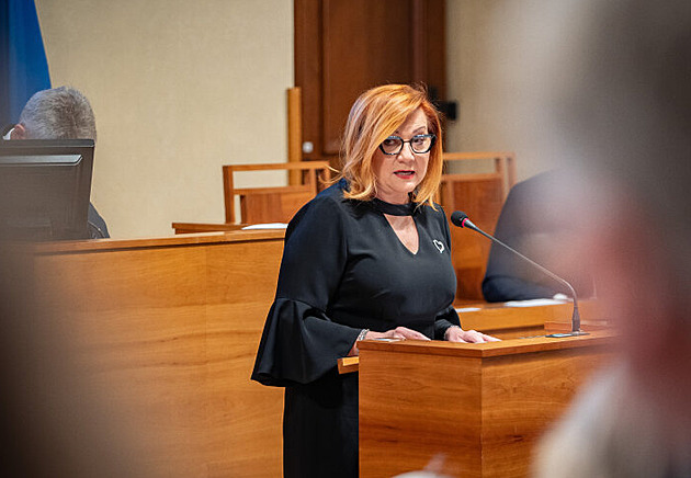 Sněmovna znovu řeší zákon o regulaci cen pohonných hmot, novelu vrátil Senát