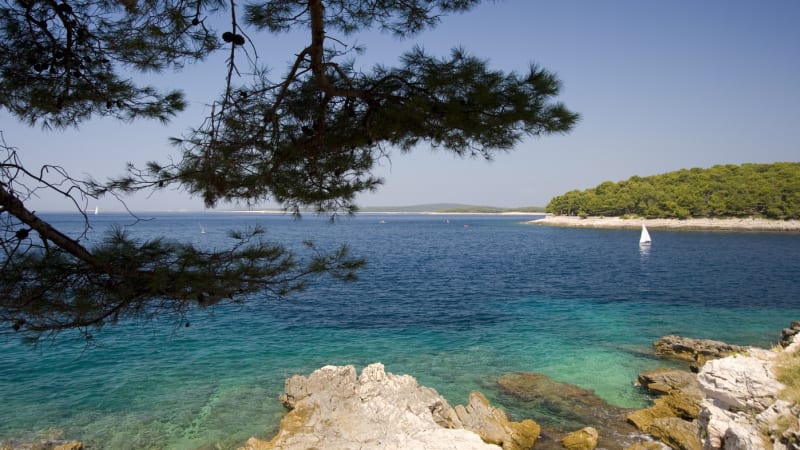 Chorvatské pobřeží děsí žraloci. Bojím se pokaždé, kdy jdu do moře, popsala místní