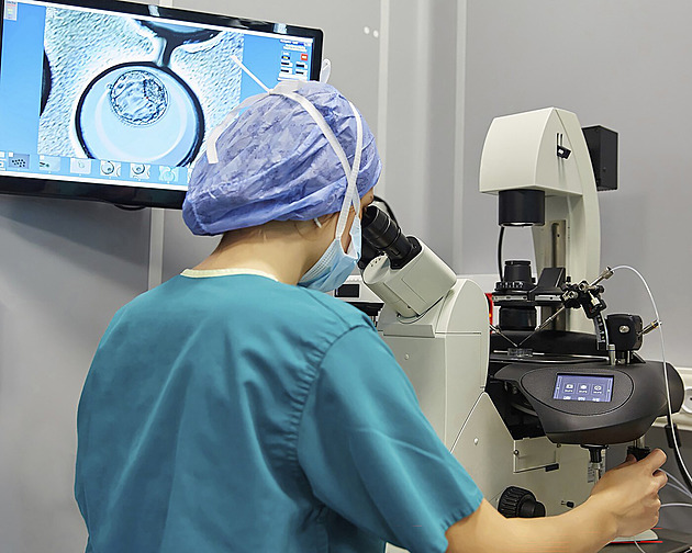 Cena za naději: Kolik v Česku stojí asistovaná reprodukce IVF